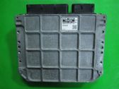 Engine control unit/module ECU