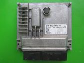 Engine control unit/module ECU