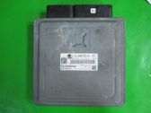 Engine control unit/module ECU