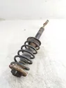 Front shock absorber with coil spring