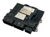 Engine control unit/module ECU