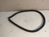 Rear door rubber seal (on body)