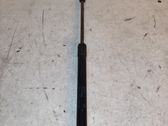 Front bonnet/hood damper/strut