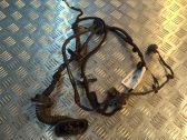 Front door wiring loom