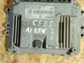 Motorsteuergerät ECU