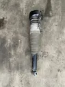 Rear shock absorber/damper