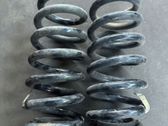 Rear coil spring