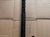 Tailgate/trunk strut/damper