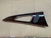 Other rear door trim element