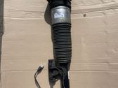 Rear shock absorber/damper