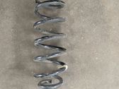 Rear coil spring