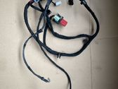 Other wiring loom