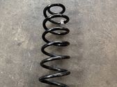 Rear coil spring