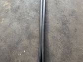 Windshield trim
