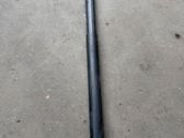 Tailgate strut