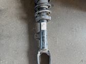 Front shock absorber with coil spring