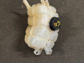Coolant expansion tank/reservoir