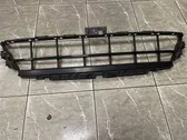 Front bumper upper radiator grill