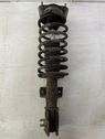 Front shock absorber/damper