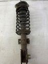 Front shock absorber with coil spring