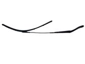 Windshield/front glass wiper blade