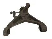 Rear upper control arm/wishbone