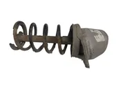 Rear shock absorber with coil spring