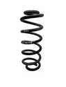 Rear coil spring