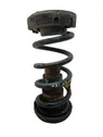 Rear coil spring