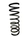 Rear coil spring