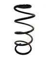 Front coil spring