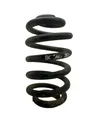 Rear coil spring