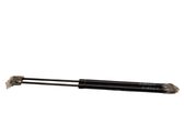 Tailgate/trunk strut/damper