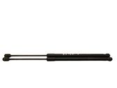 Tailgate/trunk strut/damper