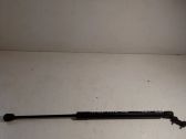 Tailgate/trunk strut/damper