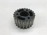 Fuel pump gear (pulley)