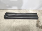 Moldura protectora del borde delantero
