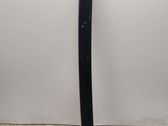 Windshield trim
