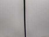 Windshield trim