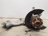 Front wheel hub spindle knuckle