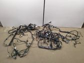 Other wiring loom
