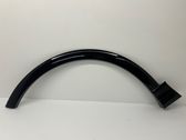 Fender trim (molding)