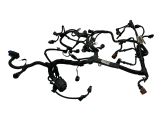 Engine installation wiring loom
