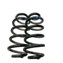 Rear coil spring