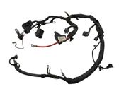 Engine installation wiring loom