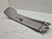 (B) pillar trim (top)
