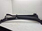 Windshield trim