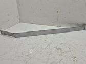 Sliding door trim