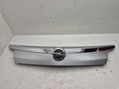 Trunk door license plate light bar