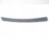 Rear door trim (molding)